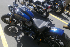 BLACK-LINE-CUSTOM-1
