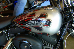 BOBBER-1