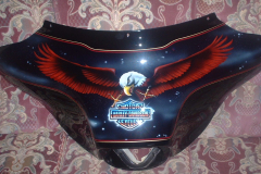 eagle-fairing