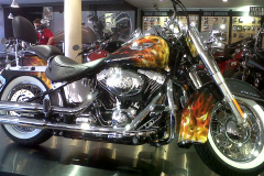 IMG00288-20121030-1305