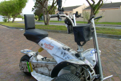 BUGGY-BOD-1