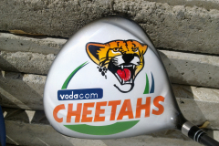 1_GC-CHEETHAS-