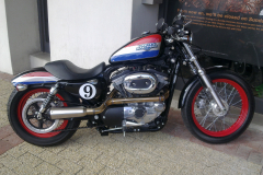 SPRINGSTEEN-SPRT-3